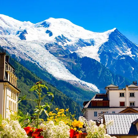 Apartment Edelweiss 2 Chamonix